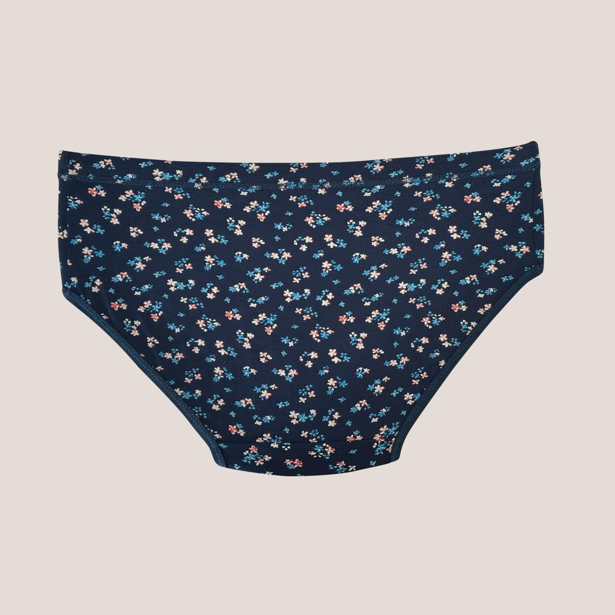 Trendy Printed Hipster Panty for Women | Everyday Comfort & Stylish Fit PQ5041-3pc
